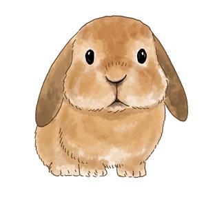 ぷっくらうさぎ